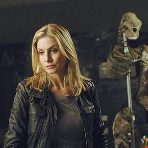 Bilder V – Die Rückkehrer