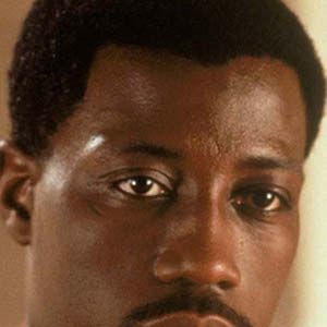 Bilder Wesley Snipes