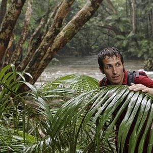 Bilder Willi Weitzel