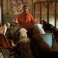 Bilder Dr. Dolittle 2