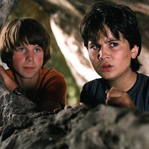 Bilder Der Schatz der weißen Falken