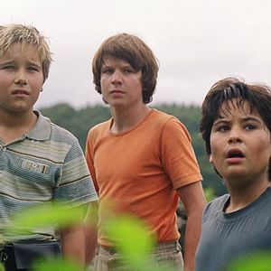 Bilder Der Schatz der weißen Falken