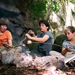 Bilder Der Schatz der weißen Falken