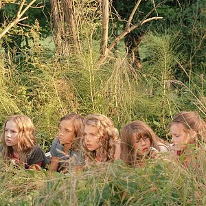 Bilder Die wilden Hühner