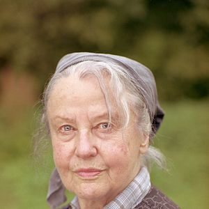 Bilder Die wilden Hühner