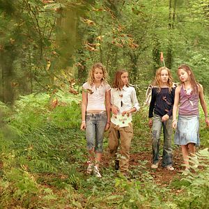 Bilder Die wilden Hühner