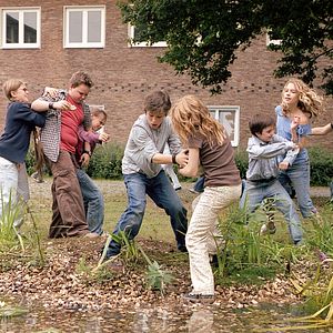 Bilder Die wilden Hühner