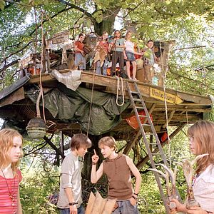 Bilder Die wilden Hühner