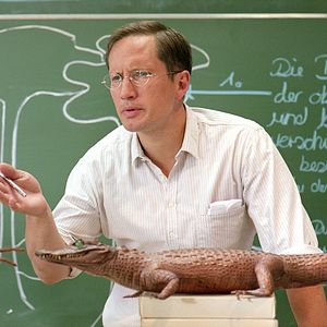 Bilder Die wilden Hühner