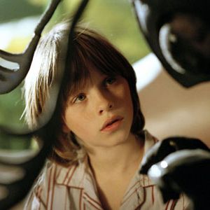 Bilder Erik im Land der Insekten