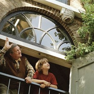 Bilder Erik im Land der Insekten