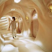 Bilder Erik im Land der Insekten