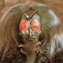 Bilder Erik im Land der Insekten