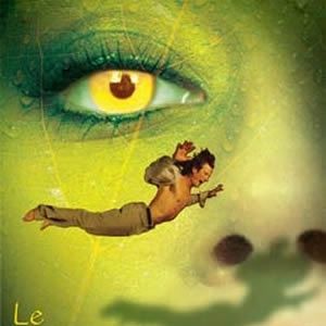 Bilder Praying Mantis