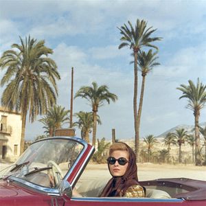 Bilder Die Jungfrau und die Peitsche