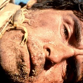 Bilder Unternehmen Capricorn