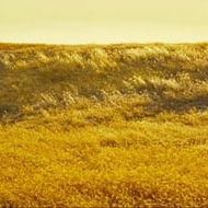 Bilder The Restless - Kampf um Midheaven