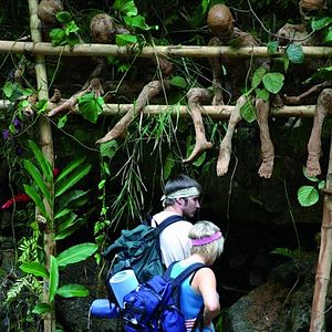 Bilder Cannibals - Welcome To The Jungle