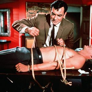 Bilder Heiße Katzen