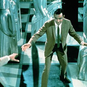 Bilder Heiße Katzen