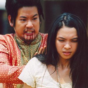 Bilder Born To Fight - Dynamite Warrior