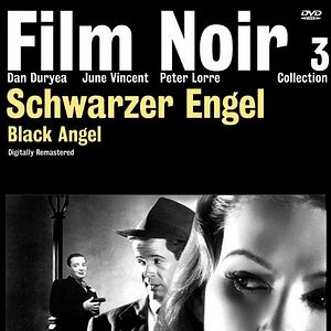 Bilder Schwarzer Engel