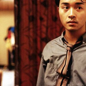 Bilder Days Of Being Wild