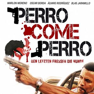 Bilder Perro come perro