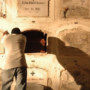 Bilder Perro come perro