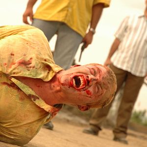 Bilder Perro come perro