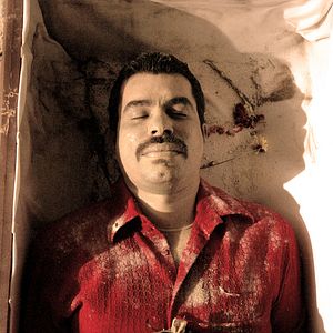 Bilder Perro come perro