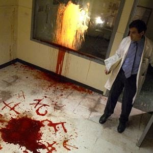 Bilder Midnight Movie