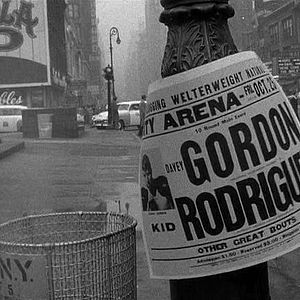 Bilder Der Tiger von New York