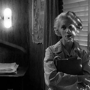 Bilder Der Tiger von New York