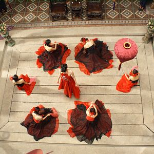 Bilder Fighting Tiger