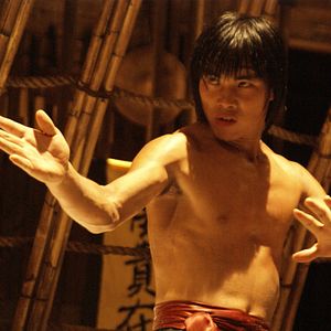 Bilder Fighting Tiger