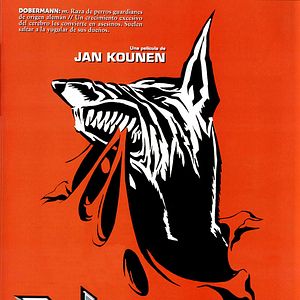 Bilder Dobermann