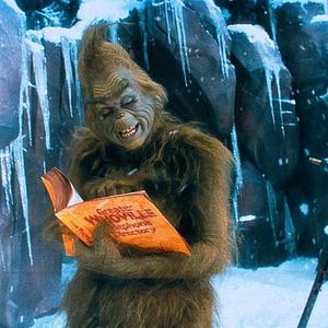 Bilder Der Grinch