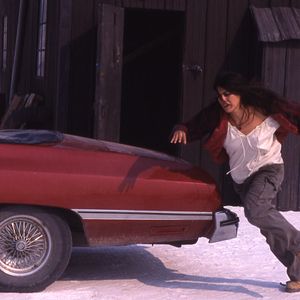 Bilder Hollywood Flies