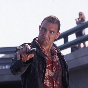 Bilder Hollywood Flies