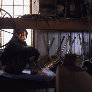 Bilder Hollywood Flies