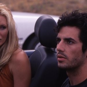 Bilder Hollywood Flies