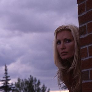 Bilder Hollywood Flies