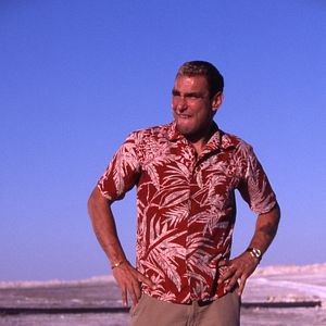 Bilder Hollywood Flies