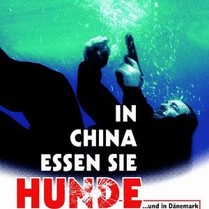 Bilder In China essen sie Hunde