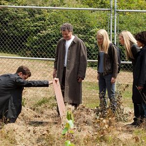 Bilder Joshua Jackson