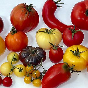 Bilder Good Food, Bad Food - Anleitung für eine bessere Landwirtschaft