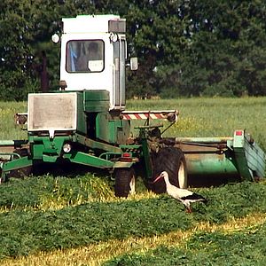 Bilder Good Food, Bad Food - Anleitung für eine bessere Landwirtschaft