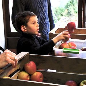 Bilder Good Food, Bad Food - Anleitung für eine bessere Landwirtschaft