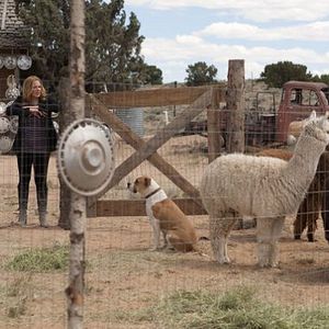 Bilder In Plain Sight - In der Schusslinie